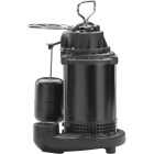 Wayne Water System 1/3 HP 115V Cast-Iron Submersible Sump Pump Image 1